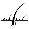 <strong>Haarstruktur</strong>
