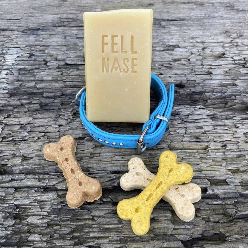 Hundeseife "Fellnase" - Die Alternative zum Hundeshampoo