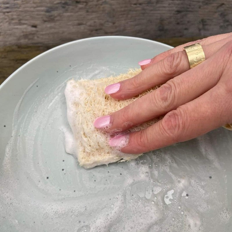 Spülschwamm aus Luffa – plastikfrei und kompostierbar