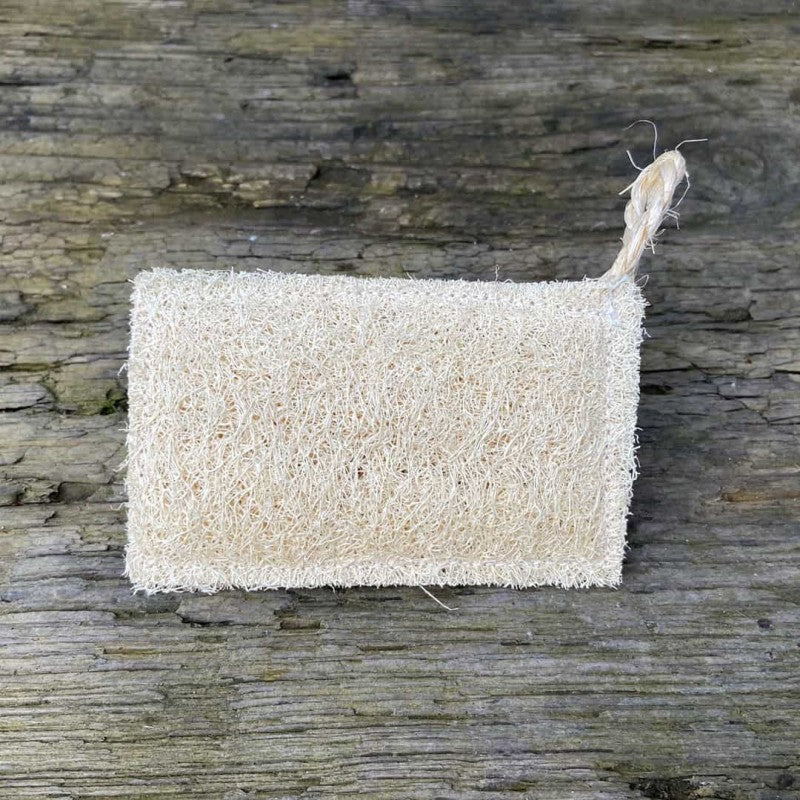 Spülschwamm aus Luffa – plastikfrei und kompostierbar