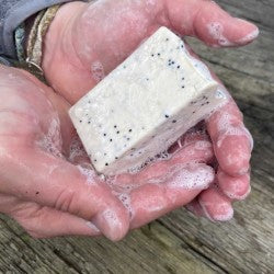 Theatiner – Weiße Mangobutter-Seife mit Bio-Mohn-Peeling